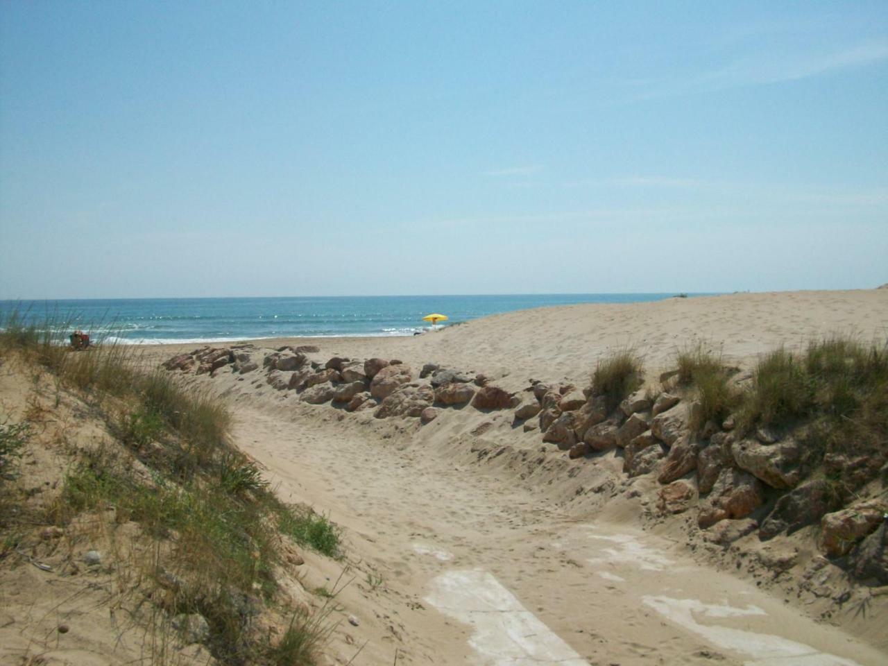 Neptuno Apartamento - Frente A La Playa Daimus Kültér fotó