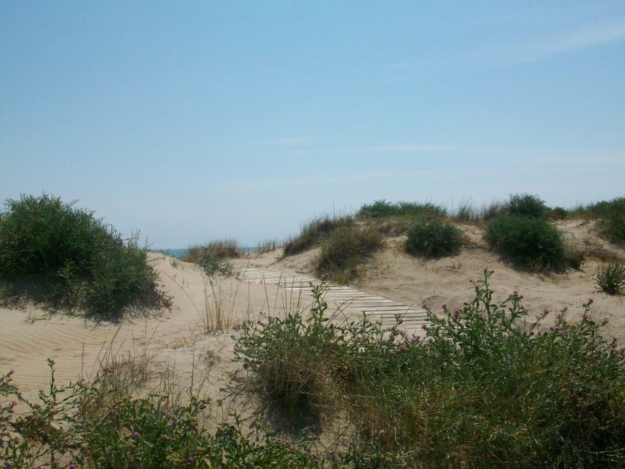 Neptuno Apartamento - Frente A La Playa Daimus Kültér fotó
